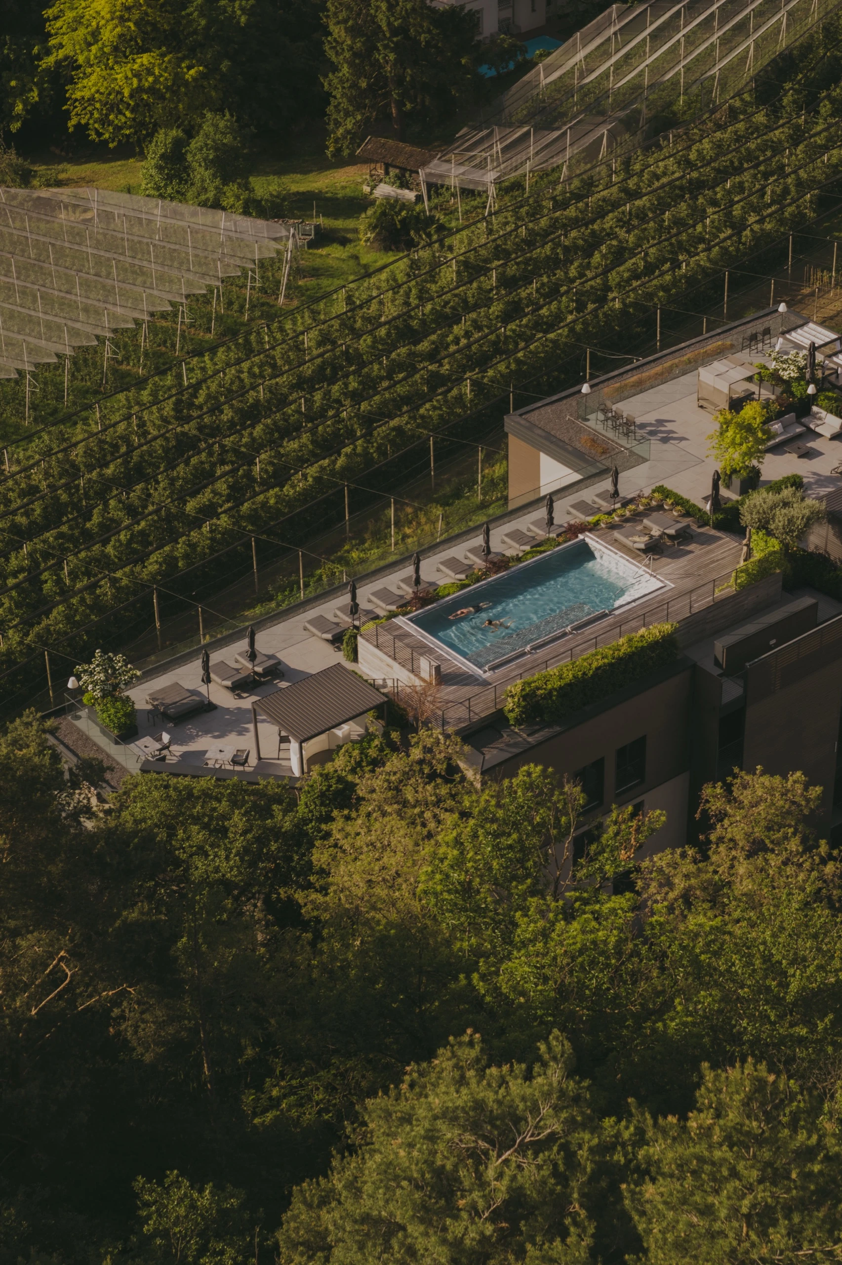 Hotel Avidea – Galerie 4