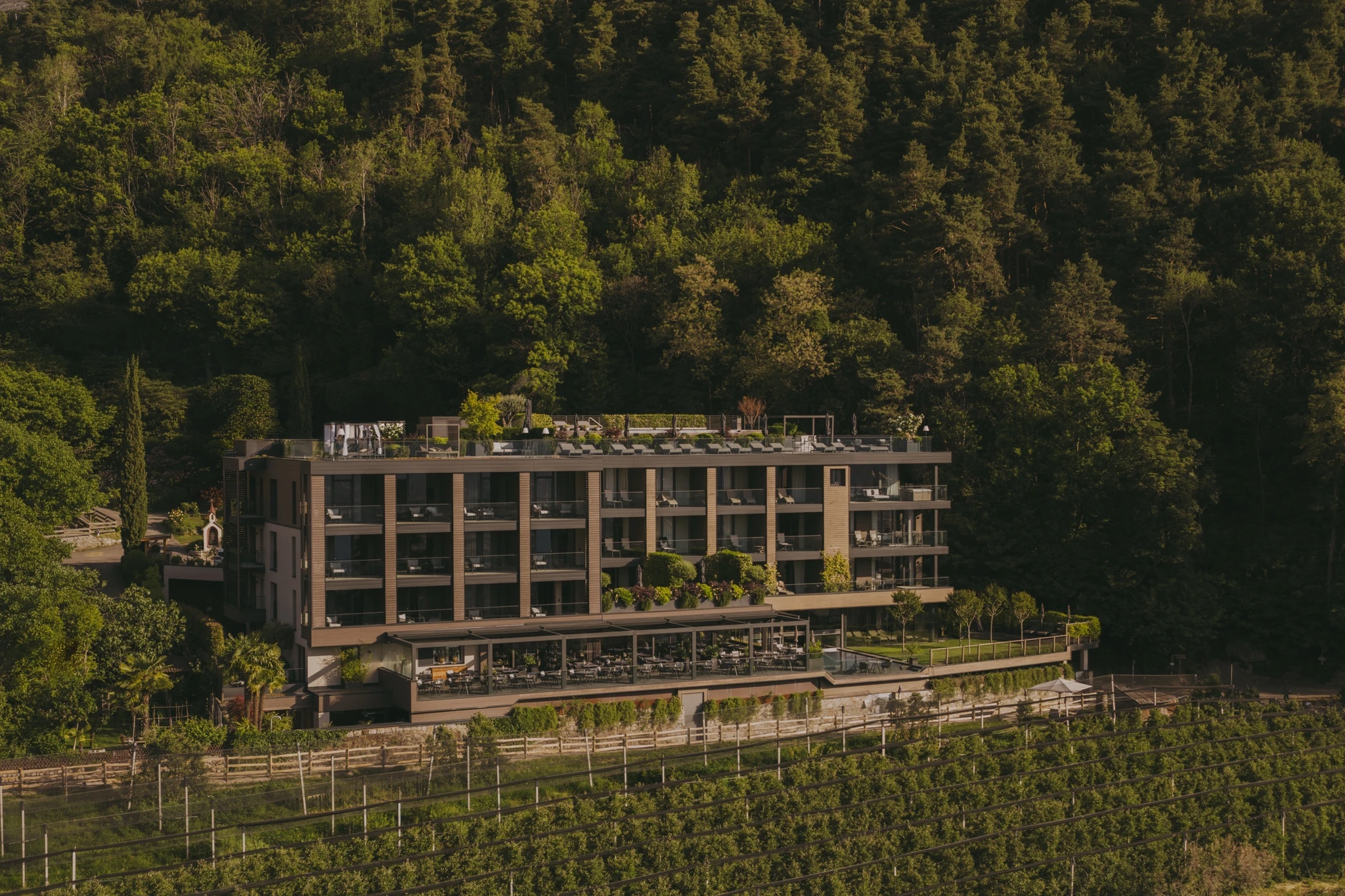 Hotel Avidea