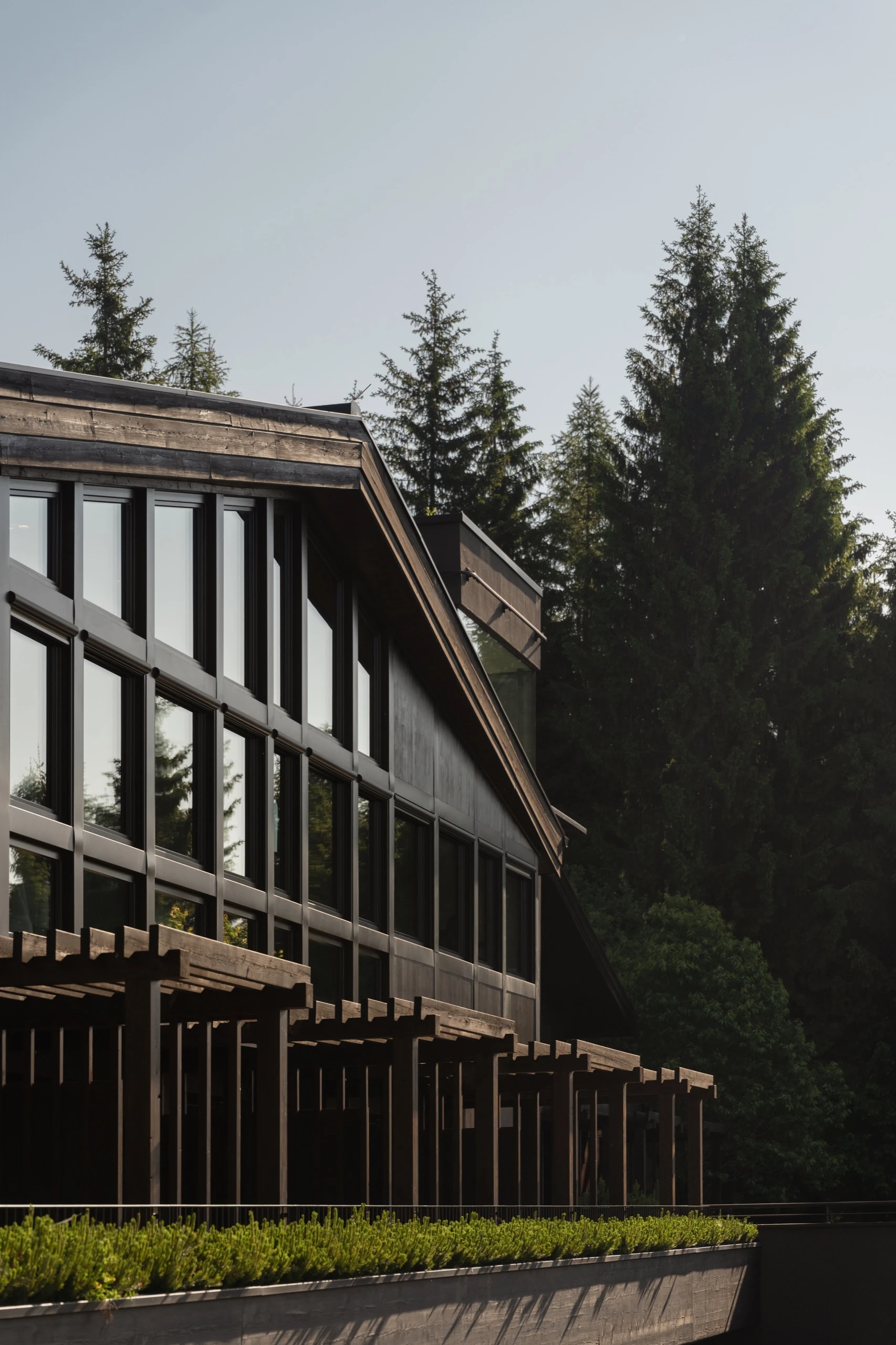 Terra the Magic Place – Galerie 4
